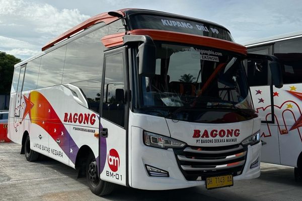 Bus Bagong, Dili-Kupang