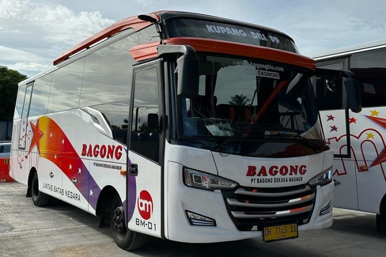 Bus Bagong, Dili-Kupang