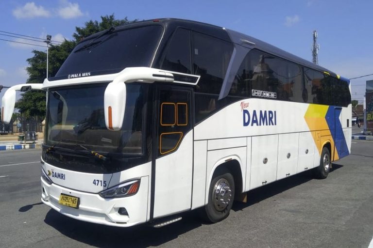 Bus Damri, Dili-Kupang