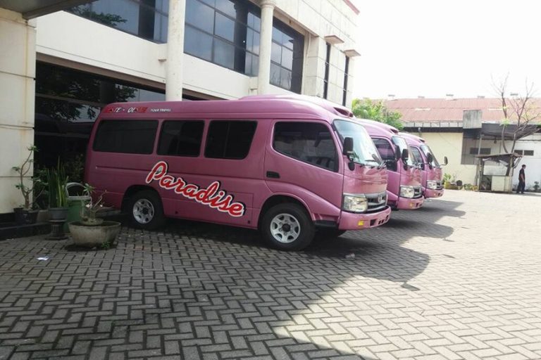 Bus Paradise Dili-Kupang