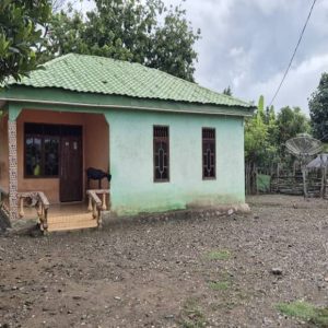 House Sale-Hera